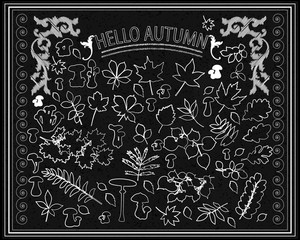 Vector set of autumn leaves and mushrooms on a black background