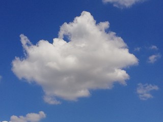 Fototapeta na wymiar Cielo azzurro con nuvola