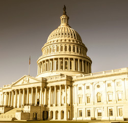 Fototapeta premium United States Capitol Building - Washington DC, USA