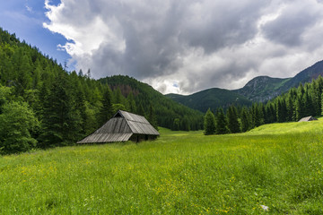 Fototapeta na wymiar Old huts on the Jaworzynka Valley. Tatra Mountains. Poland.