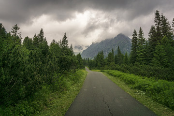 Fototapeta premium The scenic road towards the mountains. Slovakia. High Tatras. Near Popradske Pleso.