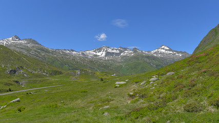 Fototapeta na wymiar Panorama visto dall'alto della prateria alpina