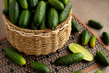 The big basket with cucumbers. Many cucumbers in a wicker basket on a bamboo napkin. Vegetables are collected in the garden.