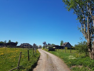 Landschaft Feldweg