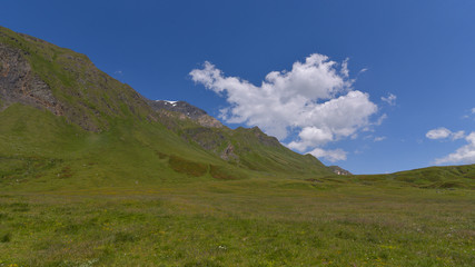 Fototapeta na wymiar Panorama della prateria alpina con cielo blu e nuvola bianca