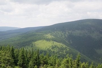 Fototapeta na wymiar Giant Mountains with a view of the Sniezka mount