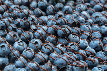 Blueberries with chocolate