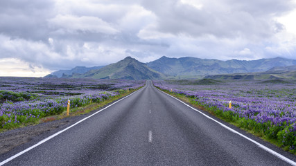 Ring road around Iceland