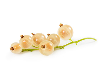 Ripe white currant on stem isolated on white