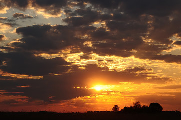 Beautiful sunset sky with red clouds. Below is the silhouette of trees on the horiz
