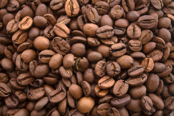 coffee beans on white background