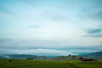 Obraz premium morning in nature rice terrace