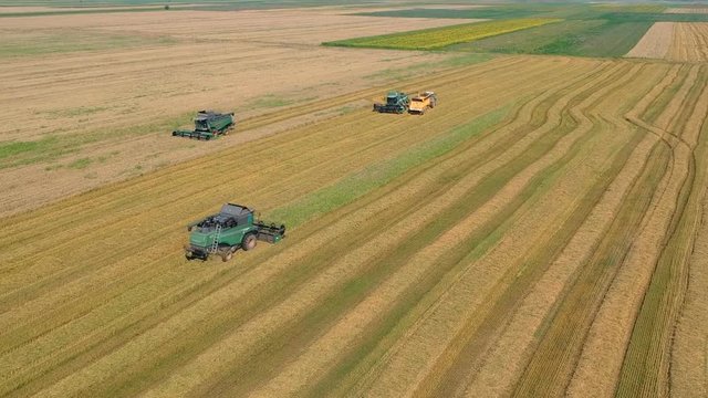 Summer view of combine harvester machine, in the romanian fields. Aerial view of harvesters