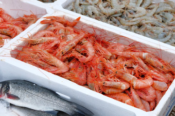 Fresh shrimp and sea bass in containers. Fish market.