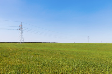 High voltage line among field of grain, vibrant colors
