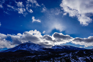 Obraz premium Ogród wytłaczania demonów