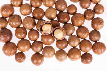 Macadamia nuts or Australian walnuts on white background