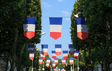 French Tricolour flags in a street for the celebration of Bastille day, July 14th, in Lyon, France.