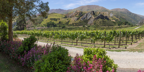 Fototapety na wymiar - Fototapeta24.pl