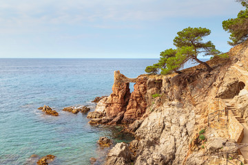 Fototapeta na wymiar Mediterranean sea landscape. Lloret de Mar, Costa Brava, Spain.