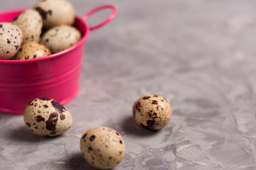 One pink metal rural basin with handles full of spotted fresh quail eggs beside three scattered...