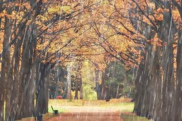 autumn park, rainy background / autumn landscape background rain texture in an October park, walk...