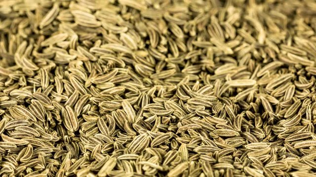 caraway seed full frame close up in motion