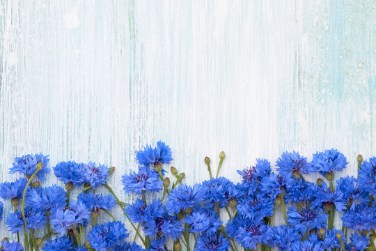 Fototapeta Blue Cornflower border on light blue background. Top view, copy space. Summer background