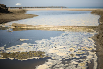 Water pollution foam