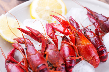 Red crayfish on ice with lemon slices.