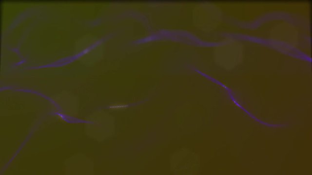 Looped virtual space. Background with particles form lines, surfaces, grid. V28