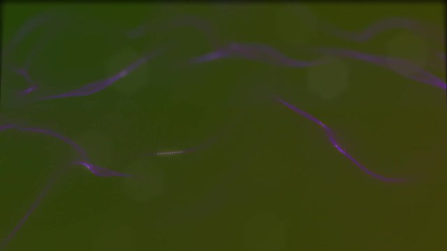 Looped virtual space. Background with particles form lines, surfaces, grid. V29