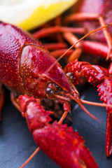 Boiled crayfish on dark background 