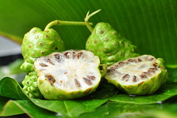 Naklejka na ściany i meble Noni Fruit (Morinda citrifolia) 