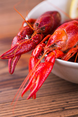 Closeup of boiled crawfish in a bowl
