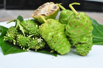Noni Fruit   (Morinda citrifolia) 