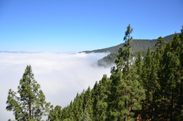Teneriffa 2018