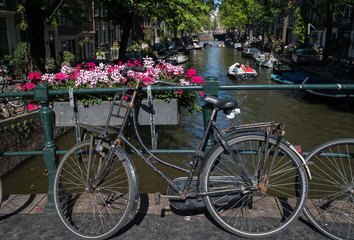 Fototapeta na wymiar Summer on the Brouwersgracht, Amsterdam, Netherlands