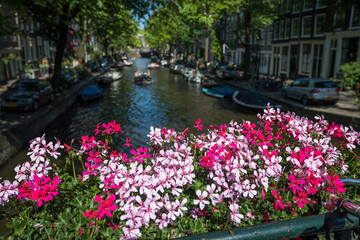 Fototapeta premium Summer on the Brouwersgracht, Amsterdam, Netherlands