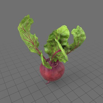 Red beet
