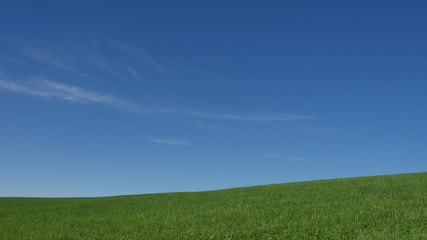 Fototapeta premium 青空と草原