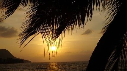 Naklejka na ściany i meble Sonnenuntergang unter Palmen 