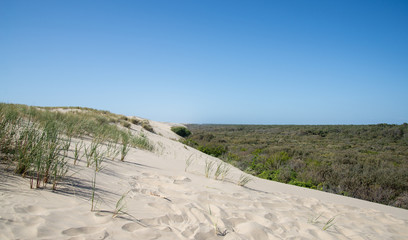 Plage phare de la Coubre Charente Maritime France