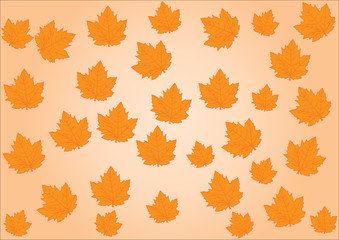 Bacground backdrop image with autumn leaves