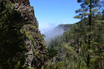 Teneriffa 2018 