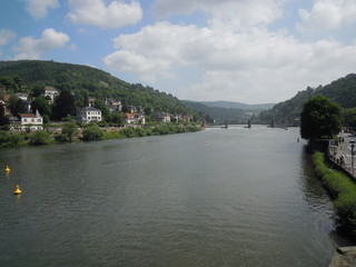 Fototapeta premium Mosel