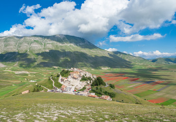 Fototapeta na wymiar Castelluccio di Norcia, 2018 (Umbria, Italy) - The famous landscape flowering with many colors, in the highland of Sibillini Mountains, central Italy