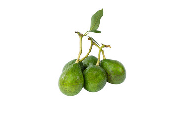 Fresh avocado group with clipping path on white background