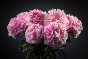 Peony Bouquet 