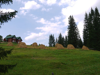 Obraz premium haystacks near the fir trees and a country house against the background of clouds